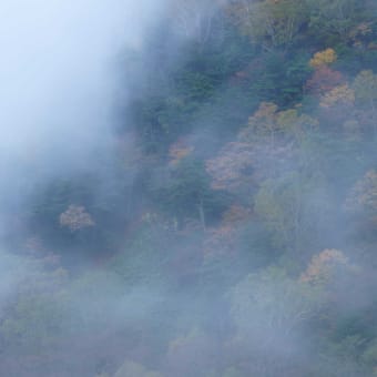 奥日光の紅葉　Ⅱ