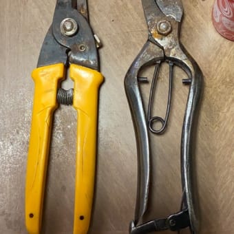 剪定鋏の手入れ