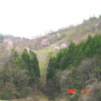 大峰山の麓、桜公園