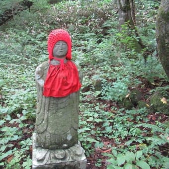 夏の終わりの大山で沢山の夏の花に会えました。　2018年9月12日　その4