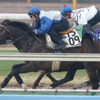 馬券道場（３月１１日）