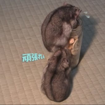 「ご協力は惜しみません」って？