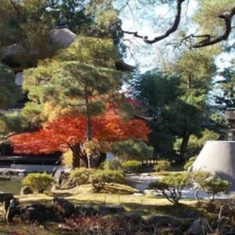 秋の京都旅行⑥