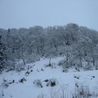 いざ、雪見温泉へ