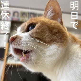 今日の暴走