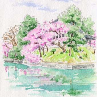 亀城公園の桜　Ａ