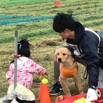 ワンワン運動会  障害物競走②