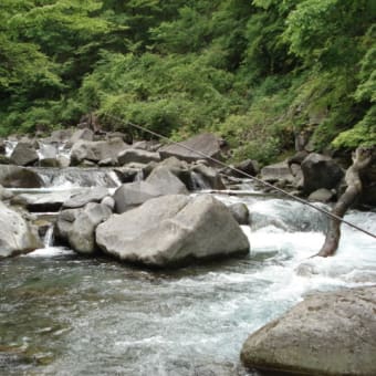 尺岩魚釣る