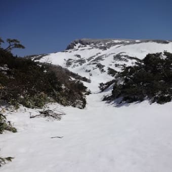 今年の初山行はいつものコースから。