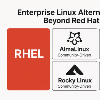 Enterprise Linux Alternatives: Beyond Red Hat
