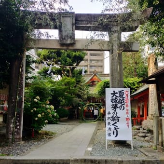 ２０２５年も半分過ぎて・・・