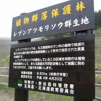 利尻・礼文2日目