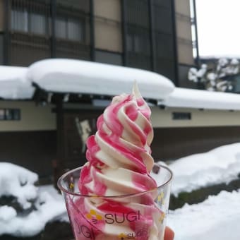 杉養蜂園・はちみつソフトブルーベリー