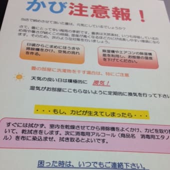 たたみにかび注意報発令中！
