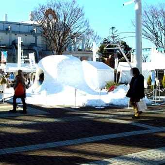 かまくら用の雪、横手から横浜へ　風物詩をＰＲ