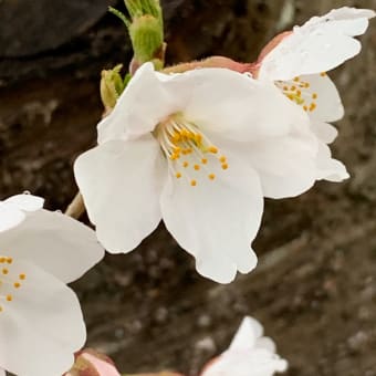 曇りのち大雨