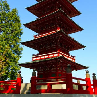 埴生護国八幡宮＆倶利伽羅不動寺そして八重桜