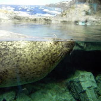 水族館