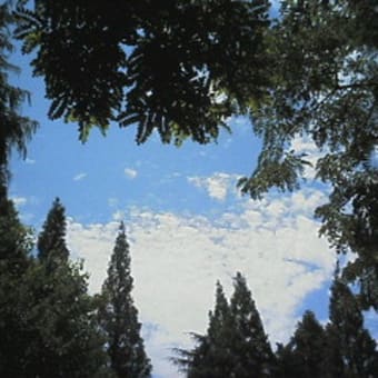 2007-10-16　（１）