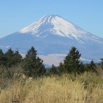 2018年1月11日木曜日　あけましておめでとうございます。