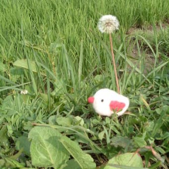 雨上がり