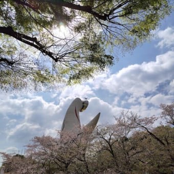 春を感じて🌷🍃🌹