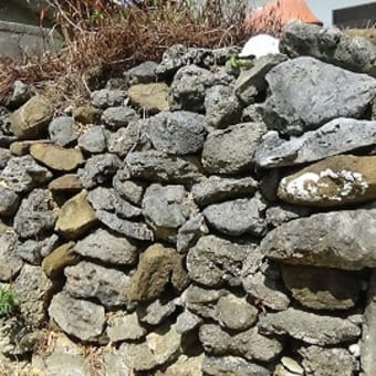 観光＆フリータイムでじっくり満喫　宮古諸島５島めぐり３日間　１４回目　大神島
