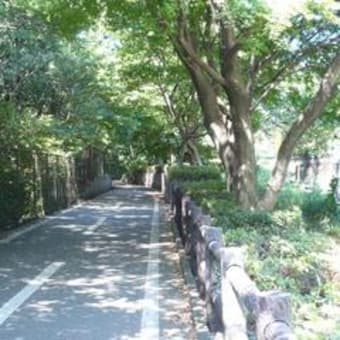 多摩湖自転車道