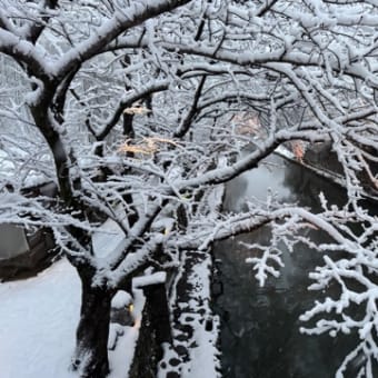 遅ればせながら・・今年もよろしくお願い申し上げます。
