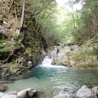 大川入山 矢作川の源流 柳川を遡行