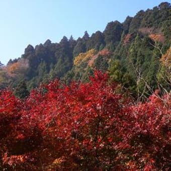 大山　阿夫利神社に参詣　１１月２７日（その１）