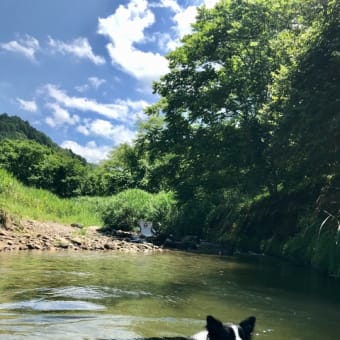 川辺でチェアリング