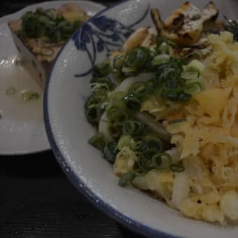 バス釣れた（四国の記憶とともに）