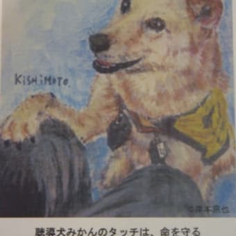 聴導犬