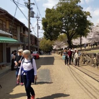 Isle of Wightクラブの京都・奈良観光案内