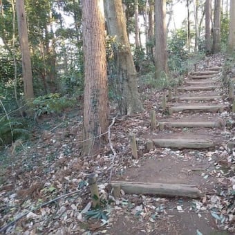 12月20日　一等三角点ついでに昔走り回った道