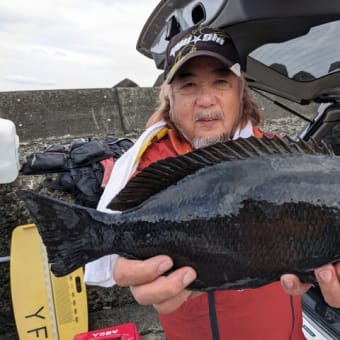 南伊豆 下流 今日の釣果