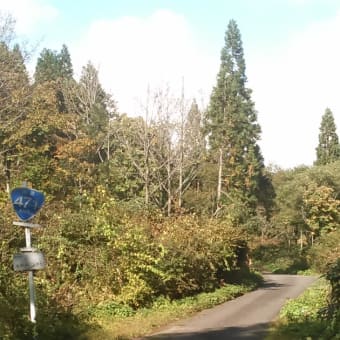 バイク旅へ