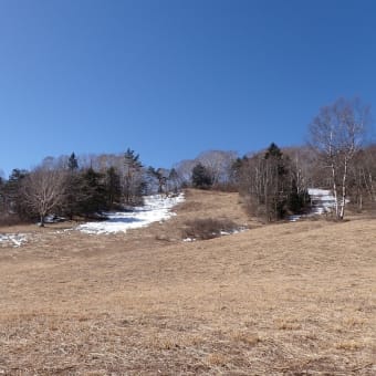雪が少ない草原
