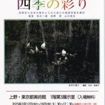 第３７回「日本写真家連盟展」の開催案内