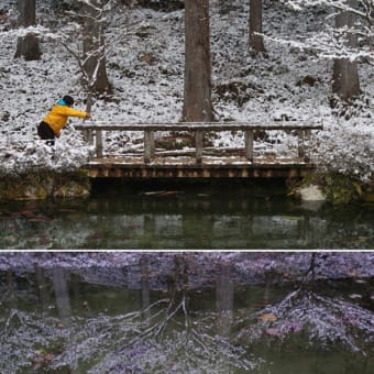 北陸のキレイな雪景色もいいな