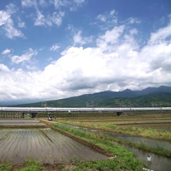 静岡県 in ドクターイエロー　１