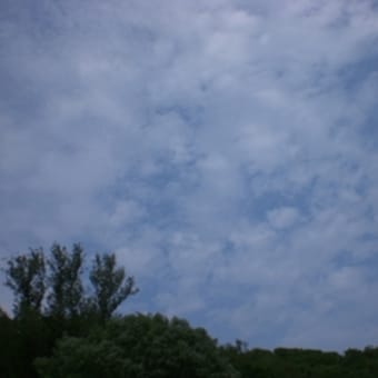 夏っぽい空だねぇ♪