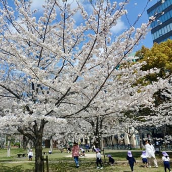 2025年1〜3月資産推移