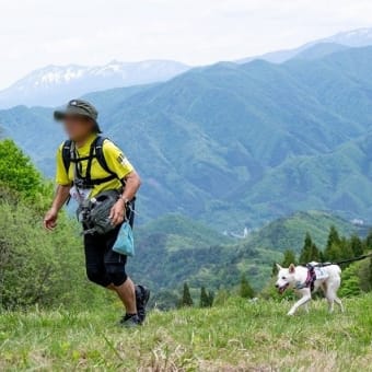 みなかみ人犬同伴トレイル