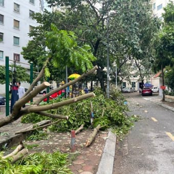 ベトナムハノイの「台風のあと」