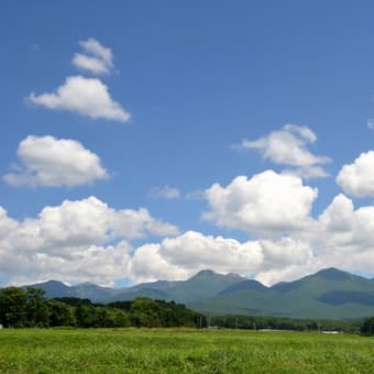 大量のブロック肉を購入する山小屋関係者と出会う夏山シーズンの八ヶ岳山麓商店街。