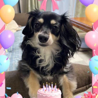 クレアの誕生日