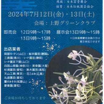 ７月12、13日に富貴蘭 花の祭典「彩と香の富貴蘭展」