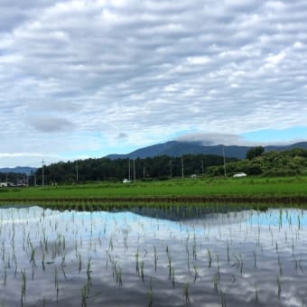 古代米の田んぼからの筑波山 今朝の空模様は面白い‥‥‥
